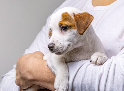 info-box–care-2 info-box--care-2