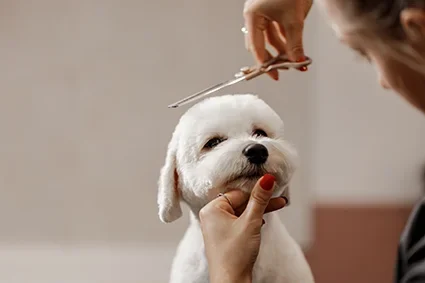 Grooming